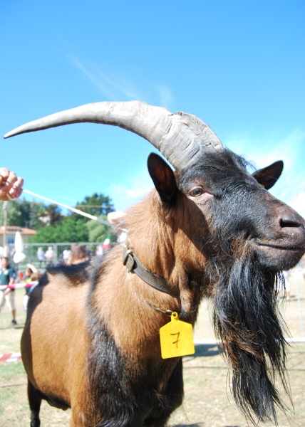 puliamo il mondo edizione 2015bambini non butti