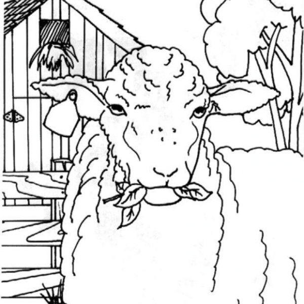 disegno pecora da coloraredisegno pecorella da c