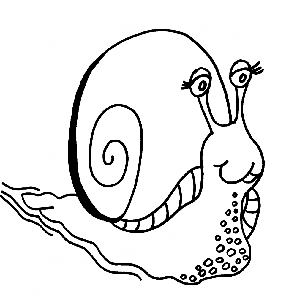 disegno lumaca da colorare per bambinilumachina 
