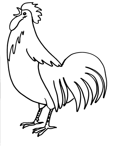 disegno gallo che canta da coloraredisegno polla