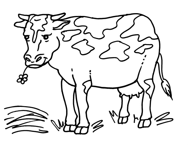disegno vitello da coloraredisegno vitellino in 