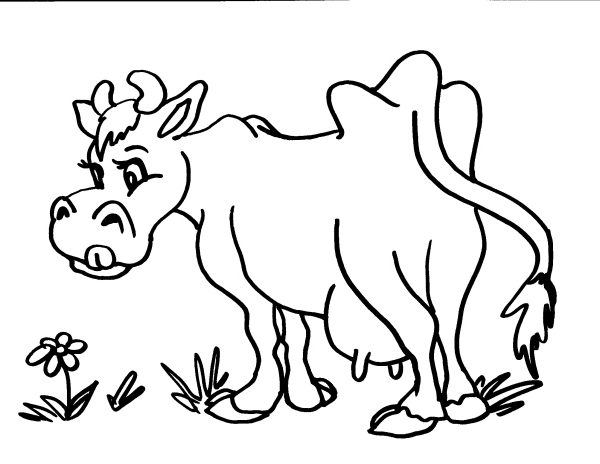 disegno mucca da latte da coloraredisegno vacca 
