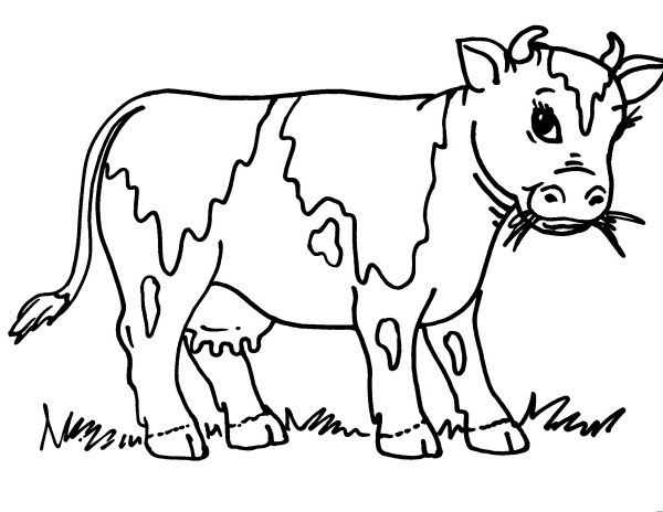 disegno mucca da latte con mammella da colorared