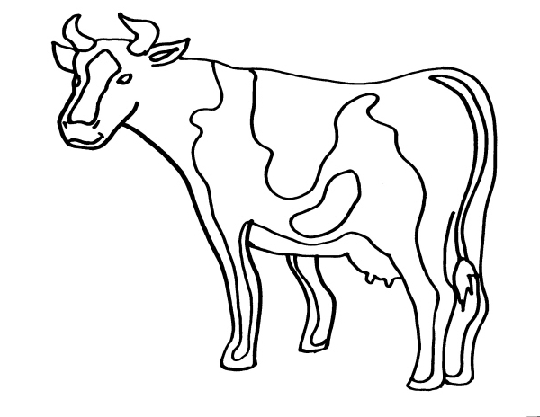 disegno mucca da latte per formaggio e mozzarella 