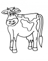 disegno mucca razza chianina da colorare..disegno annutolo in fattoria da colorare..disegno vacca razza romagnola da colorare