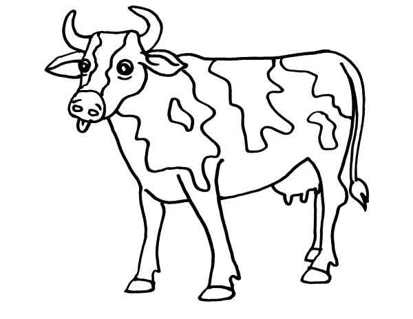 disegno vitello da latte da coloraredisegno mucc
