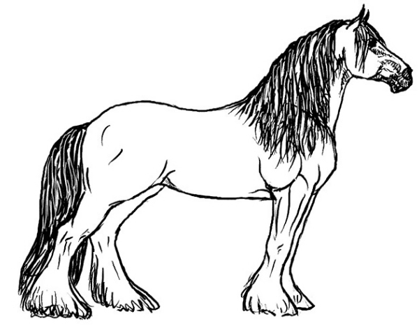 disegno stallone da coloraredisegno cavallo da t