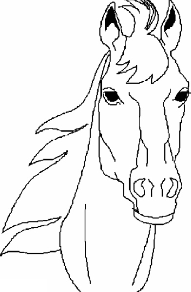 disegno di testa di cavallo da colorarecavallo c