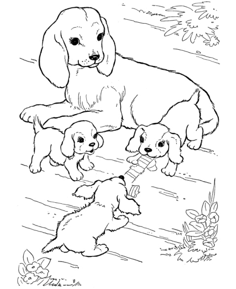 Disegni Da Colorare Di Teneri Cuccioli Disegni Da Colorare Di Teneri Cuccioli