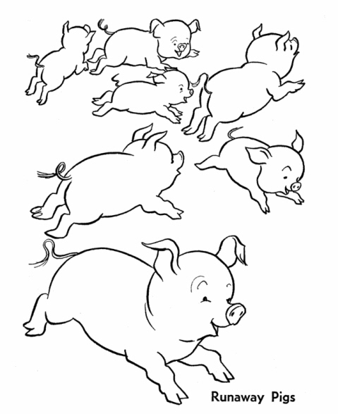 disegno maialini che corrono da coloraredisegno 