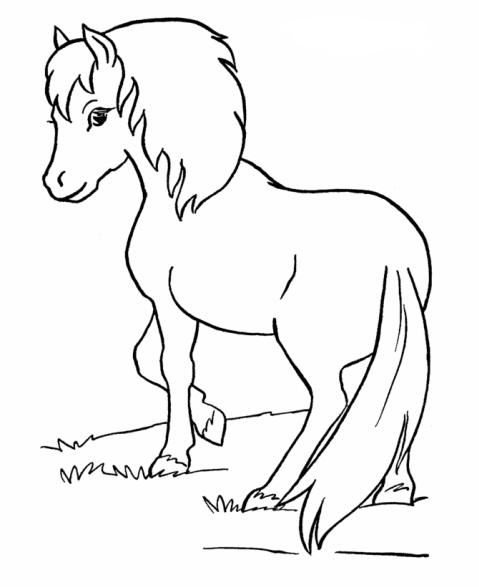 disegno cavallina da coloraredisegno piccolo cav