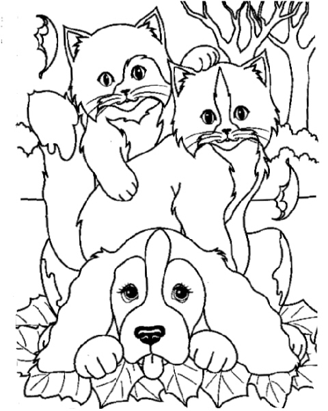 Disegni Da Colorare Cane E Gatto