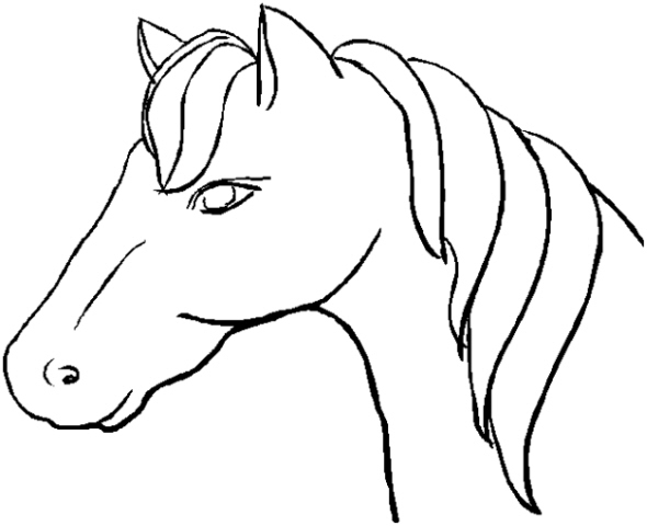 testa di cavallo da colorarecavallo con lunga cr