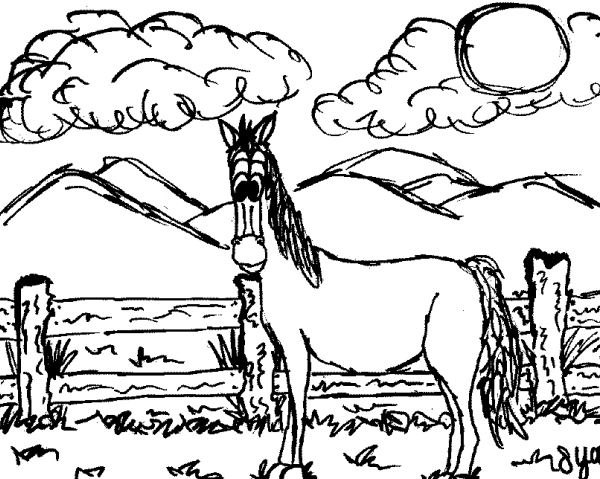 cavallo in fattoria didattica a mantovacavallo i