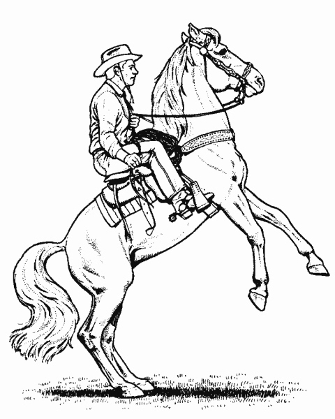 disegno cavallo americano da colorarecavallo in 