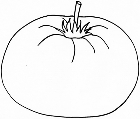 disegno pomodoro da coloraregrappolo di pomodori