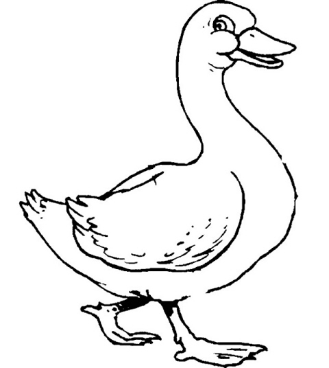 oca coloring pages - photo #25
