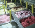 gelato in fattoria con animali a Milano..agrigelateria nella fattoria degli animali..didattica per le scuole di Milano in fattoria..percorsi didattici in fattoria da Tullio a Busto Garolfo..uova fresche in fattoria da tullio..