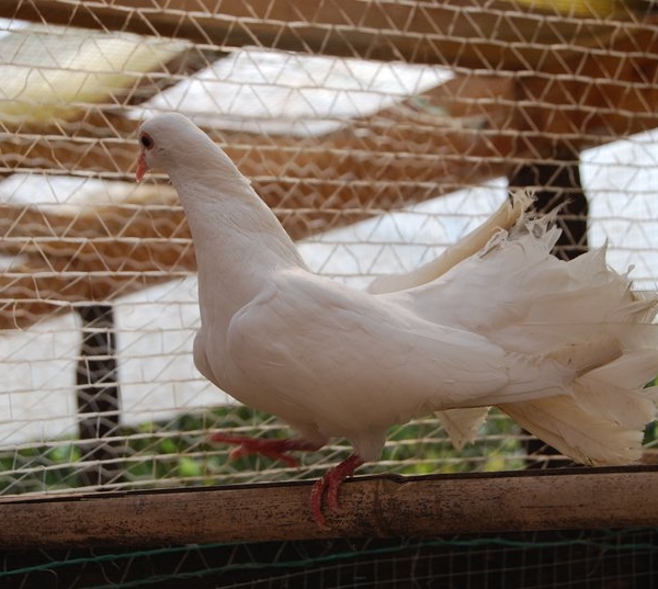 DOVE SIAMO CONTATTAMI Agriturismo con Fattoria Did