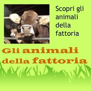 Foto di animali della fattoria