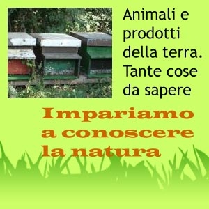 SCHEDE DIDATTICHE sugli animali della fattoria