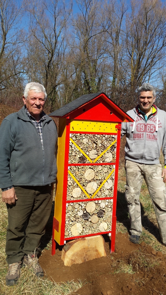 CASETTE per INSETTI OSMIA