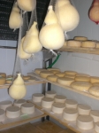 caciocavallo della fattoria la bonifica di medina,formaggio stagionato fattoria la bonifica a varese,caciotta della fattoria la bonifica di medina  provincia di varese