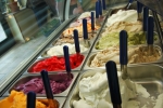 gelateria in fattoria la bonifica a cassano,gelato con latte fresco di mucca in fattoria la bonifica,agrigelateria la bonifica provincia di varese