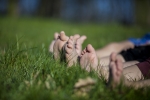 piedi nudi in fattoria,percorso 5 sensi a piedi nudi in fattoria didattica,prima fattoria didattica a varese percorso a piedi nudi in fattoria