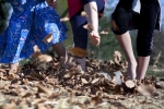 piedi nudi in fattoria,percorso 5 sensi a piedi nudi in fattoria didattica,prima fattoria didattica a varese percorso a piedi nudi in fattoria