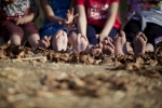 piedi nudi in fattoriapercorso 5 sensi a piedi nu