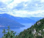 varese,fattorie didattiche in provincia di Varese:la provincia di Varese è bellissima.In provincia di Varese ci sono tanti distributori di latte fresco appena munto,didattica per bambini in fattoria,disegni da colorare per bambini di animali in fattoria 