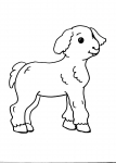 disegni animali della fattoria da colorare:agnello-pecora,gli agnelli appena nascono bevono del buon latte nutriente da mamma pecora,disegno pecora da colorare..agnello da colorare..disegno agnellino da colorare