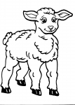 disegni agnello della fattoria da colorare:agnello-pecora,l'agnello beve tanto latte da mamma pecora..disegno pecora da colorare..disegno agnellino da colorare..agnello da colorare