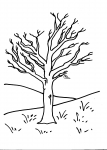 disegni animali da colorare:albero-gli alberi sono importanti per la vita sulla terra perchè producono ossigeno,agriturismi in provincia di varese,prodotti tipici varesini,disegno albero con frutta da colorare