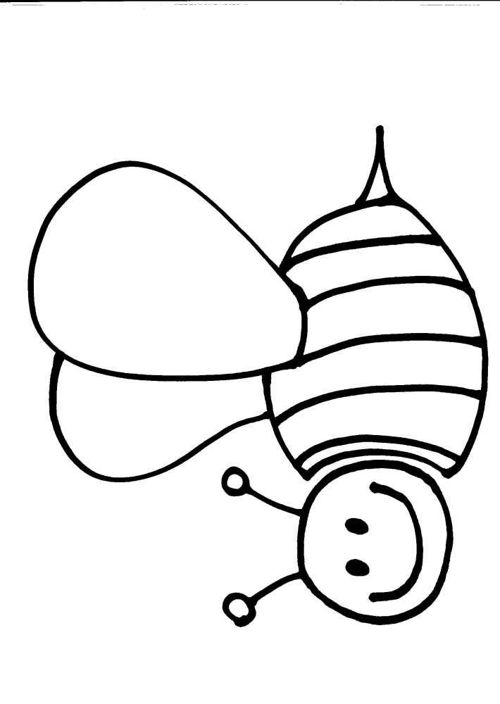 disegni animali da colorareapearniaalvearelap
