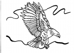 disegni animali da colorare:aquila,disegno da colorare aquila..disegno poiana da colorare in fattoria didattica..,agriturismi in provincia di varese,disegno aquila da colorare,disegno poiana da colorare,disegno falco da colorare