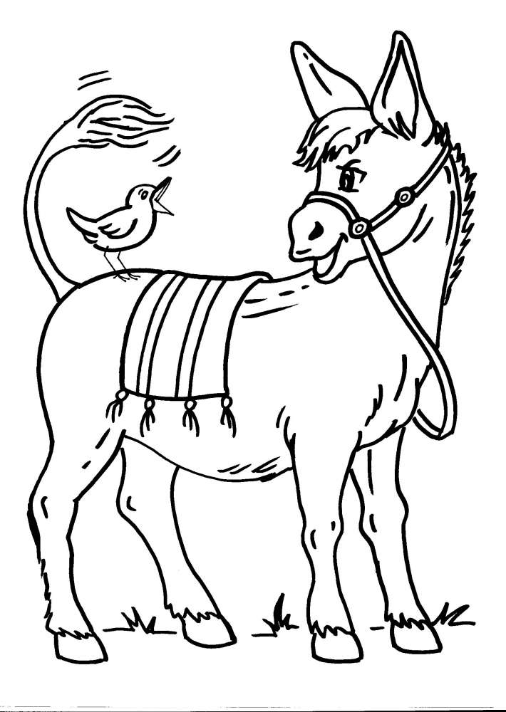 disegni animali della fattoria da colorareasinod