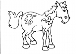 disegno cavallo della fattoria da colorare:cavallo-disegno cavallo da colorare in fattoria didattica..agriturismi in provincia di varese,disegno pony da colorare..disegno piccolo cavallo da colorare..disegno cavallo da corsa da colorare per bambini