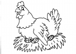 disegni animali da colorare:gallina,uova,disegno pulcino da colorare..disegno gallina in fattoria didattica.. disegno gallina che cova le uova da colorare..lotta tra galli galletti da colorare..disegno tacchino da colorare