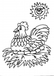 disegni animali da colorare:gallina,gallo,pulcino,disegno gallo da colorare in fattoria didattica...disegno tacchino da colorare..disegno faraona da colorare..disegno gallo colorato..pulcino da colorare