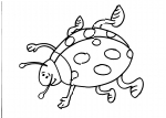 disegno coccinella da colorare:coccinella,disegno coccinella da colorare in fattoria didattica..coccinella da colorare...insetto da colorare..disegno coccinelle sui fiori da colorare per bambini