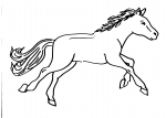 disegno cavallo da colorare:cavallo,disegno da colorare cavallo in fattoria didattica.. disegno pony in fattoria da colorare..disegno cavallo in maneggio da colorare..disegno cavallo da corsa in stalla da colorare