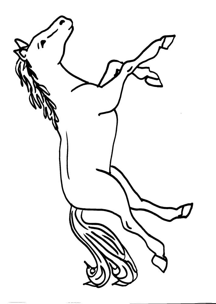 disegno cavallo da colorarecavallodisegno da col
