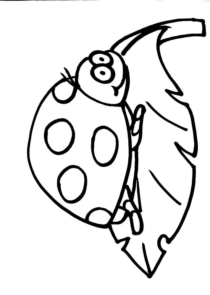 Disegni Coccinelle Da Colorare Per Bambini