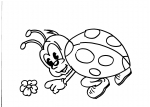 disegno coccinella da colorare:coccinella..disegno da colorare coccinella in fattoria didattica.. disegno coccinella da colorare e stampare...disegno coccinella sul fiore da colorare...disegno coccinella punteggiata da colorare per bambini