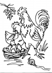 disegni animali della fattoria da colorare:gallo,gallina,pulcino..disegno pulcino da colorare..nidiata di uccelli da colorare..pollaio con galli e galline da colorare..uova da covare da colorare