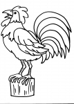 disegni da colorare animali della fattoria..gallo-gallina..disegno gallo da colorare in fattoria..didattica..disegno gallinella da colorare...uova pasquali da colorare..uova con pulcino da colorare..