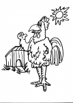 disegni animali fattoria da colorare..gallo-gallina..disegno pulcino da colorare..fattoria..struzzo da colorare..animali da cortile struzzo gallina gallo da colorare..uova di struzzo da colorare