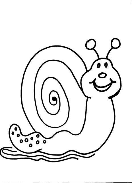 disegno lumaca da colorare per bambinilumacadi